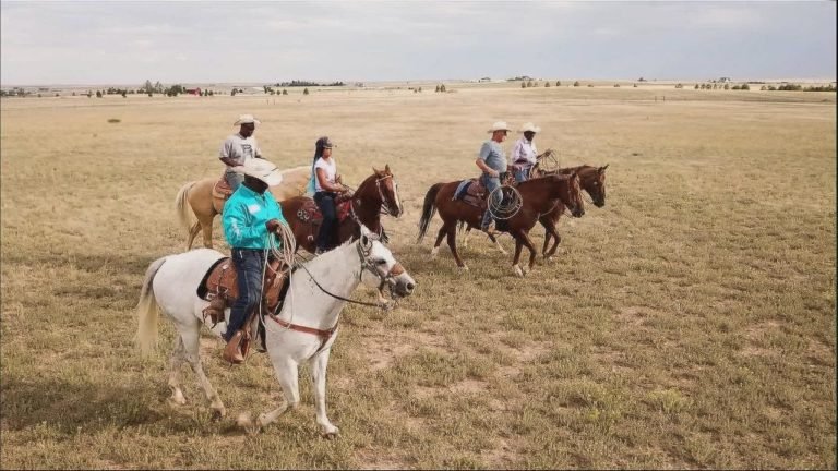 Read more about the article The untold story of African-American cowboys