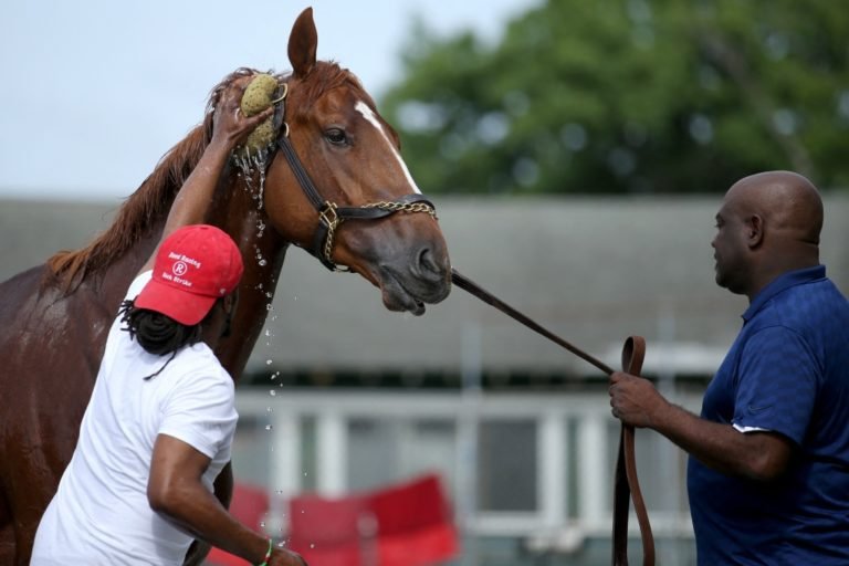 Read more about the article Rich Strike, Dixon family highlight horse racing’s lack of diversity