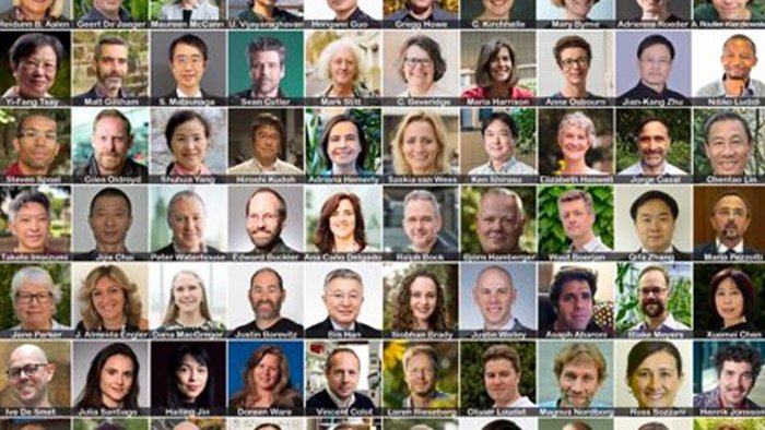 Read more about the article Racial controversy around plant genetics conference puts Australian scientists ‘on notice’