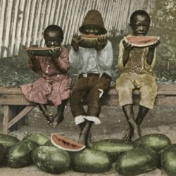 How the watermelon stereotype came to be weaponized against Black Americans