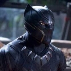 Smithsonian African American Museum Honors Chadwick Boseman’s Black Panther Costume in New Exhibit