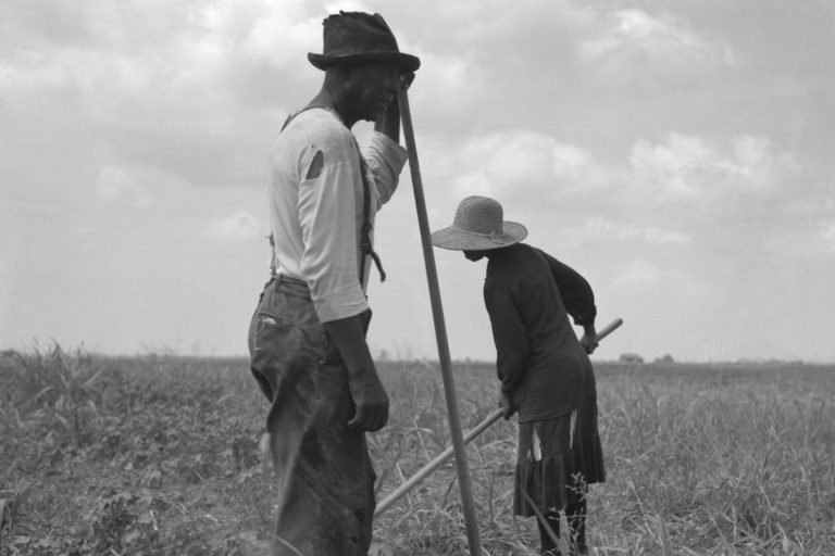 Read more about the article The Short-Lived Promise of ’40 Acres and a Mule’