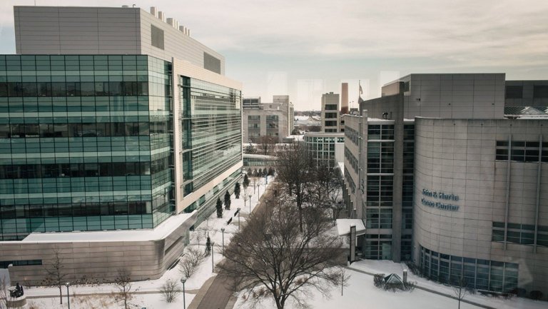 Read more about the article Loyola University med school probed for alleged race-based internship that requires applicant photos