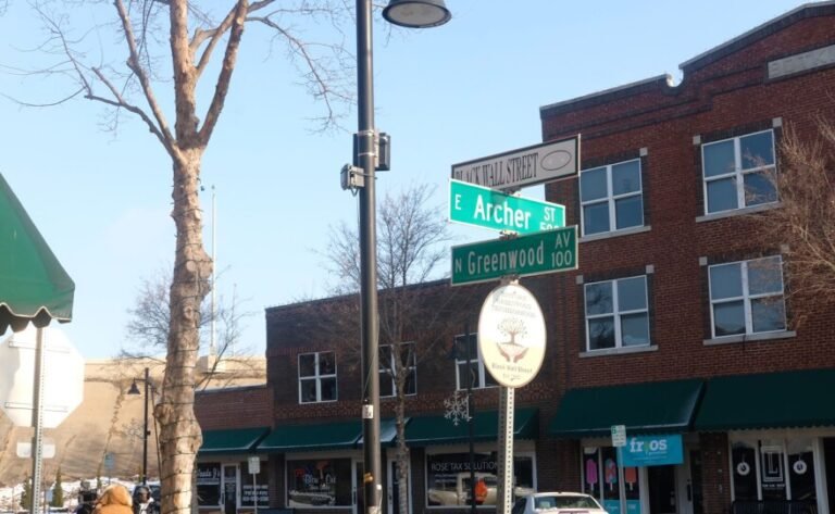 Read more about the article Descended from The Promised Land The Legacy of Black Wall Street