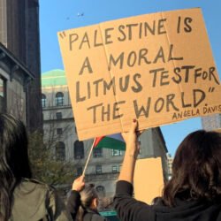 ‘Black Lives 4 Palestine’: US activists find common cause