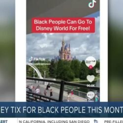 Fact or Fiction: Disney letting African-American people into Disney World for free during Black History Month?